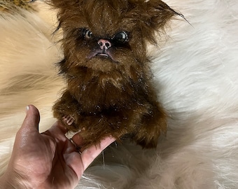 Baby Brussels Griffon Puppy Etsy Canada