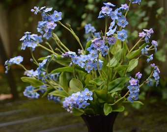 Forget-me-not flowers made of floristic polymer clay. Realistic flowers
