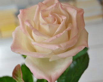 Cold porcelain handmade roses