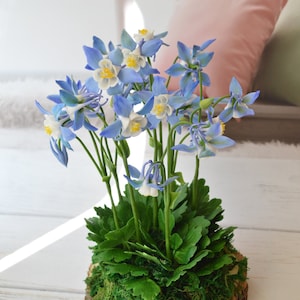 Aquilegia from floral polymer clay (cold porcelain)
