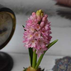 Сomposition pink hyacinth. Floristic clay (cold porcelain)