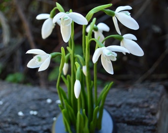 snowdrops from floristic polymer clay