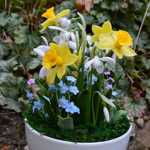 Frühlingskomposition aus Narzissen und, floraler Polymerclay