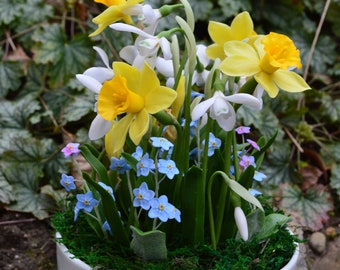 composición primaveral de narcisos y arcilla polimérica floral