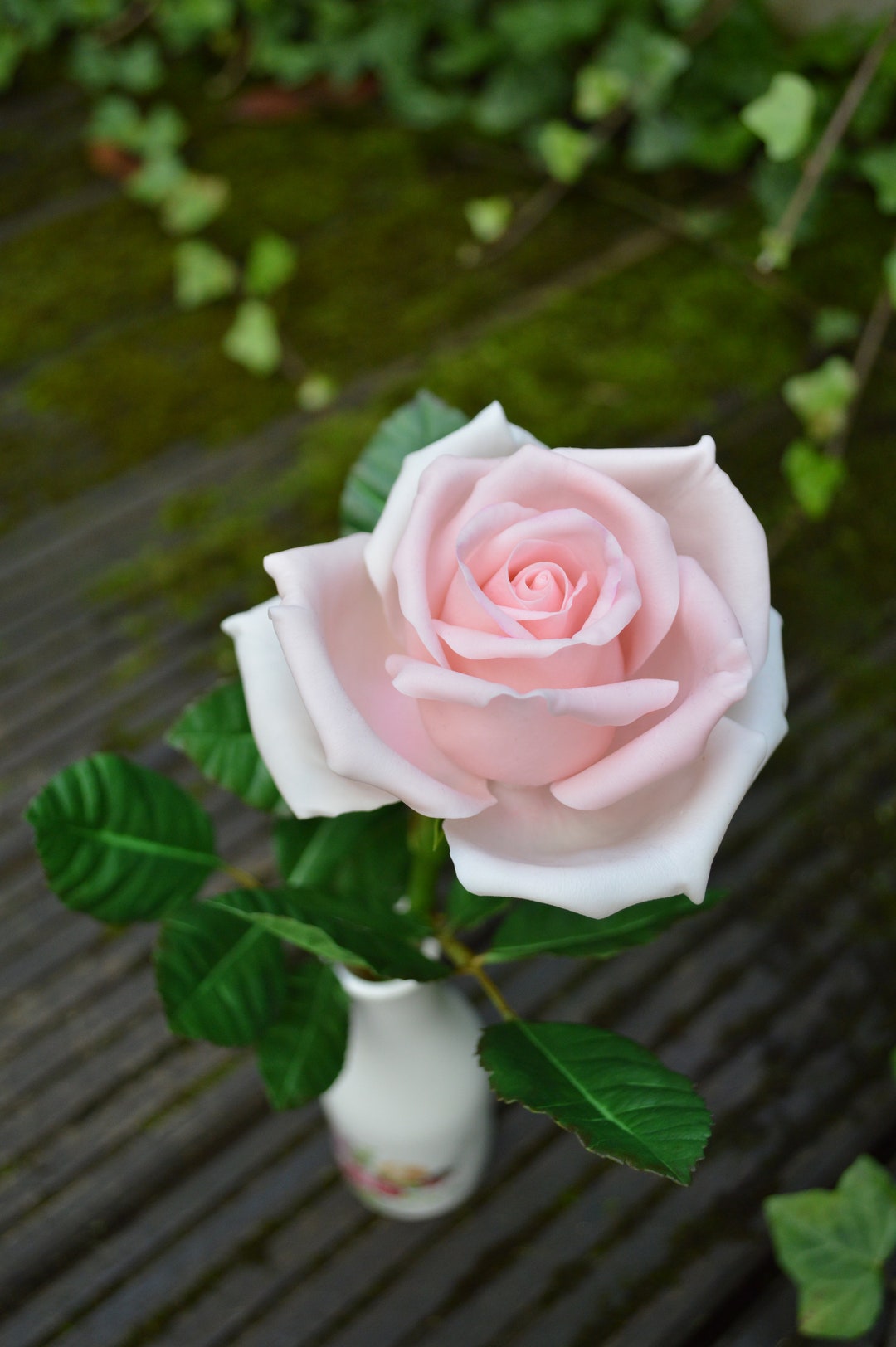 Холодные фарфоровые розы ручной работы - Etsy