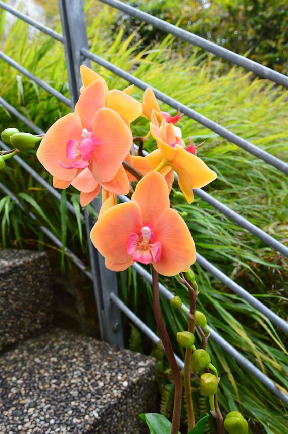 ハンドメイド樹脂粘土で作った胡蝶蘭 ハンドメイド樹脂粘土で作った