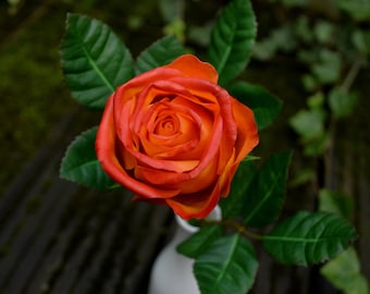 Handmade  Rose: Floral Polymer Clay Sculpture