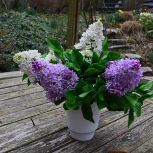 lilac bouquet, floral clay