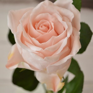 Cold porcelain handmade roses