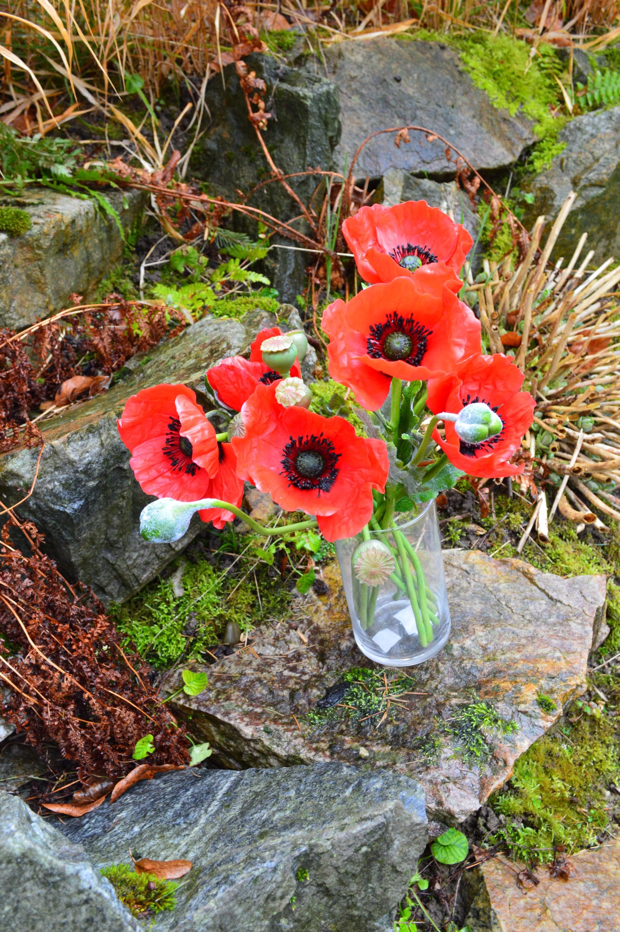 Coquelicots - Décalcomanies en céramique - Décalcomanie en émail - Décalcomanie en verre - 62917 - France