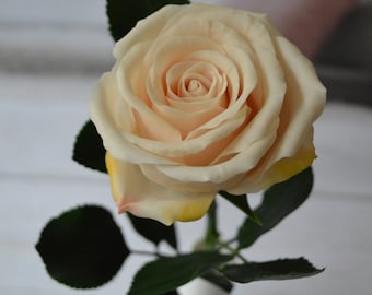 Cold porcelain handmade roses
