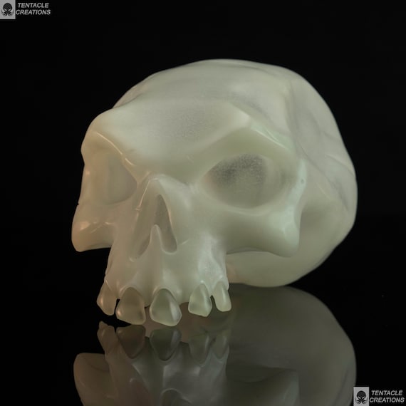 Targa In Metallo Skulls Human Fish | 20x30 Cm | Decorazione Murale Vintage