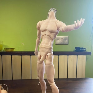 BJD body