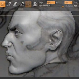 BJD minimee resin head Reaver