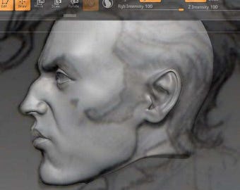 May include: A grayscale 3D model of a human head in profile, showcasing detailed facial features. The image is a digital rendering, likely for artistic or design purposes, with a focus on form and texture. The software interface is visible at the top.