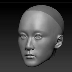May include: A 3D model of a person's face, rendered in grayscale. The model shows the person's facial features, including the eyes, nose, mouth, and ears.
