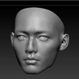 BJD minimee head Okada Kenshi
