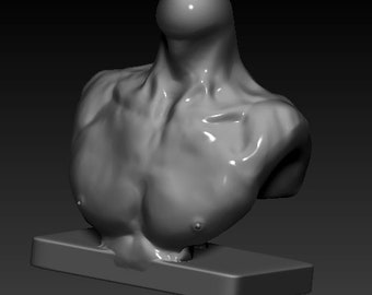 May include: A gray, sculpted bust of a person's torso, with a smooth, polished finish. The bust is mounted on a gray base.
