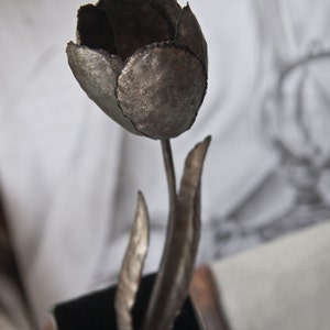 Op de afbeelding: Een metalen sculptuur van een tulp met een donkergrijze afwerking. De tulp staat in een zwarte vierkante pot.