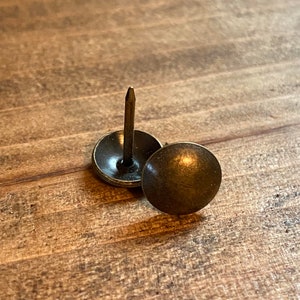 Push Pins (pair)