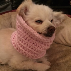 Pink Rose Infinity Dog Snood — Dog Scarf — Snood For Dog Pink Dog Snood  — Pink Dog Scarf — Unique Dog Gift