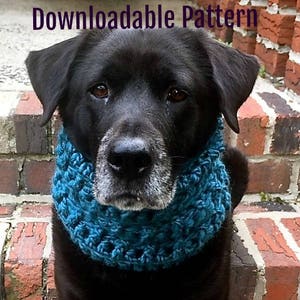 Dog Snood Pattern — Dog Scarf Pattern — Dog Snood Pattern Crochet — Dog Scarf Crochet Pattern — Crochet Dog Snood — Dog Snood — Dog Scarf
