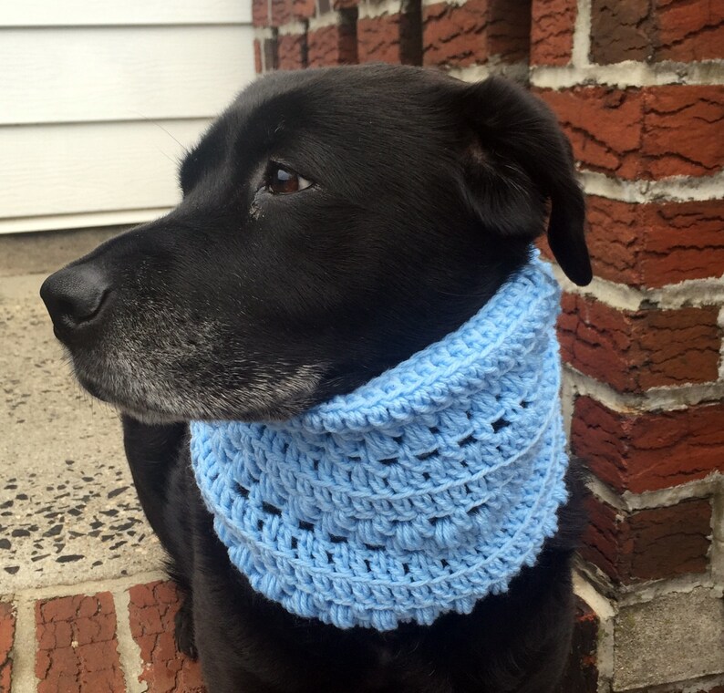 snood download full version snood download full version