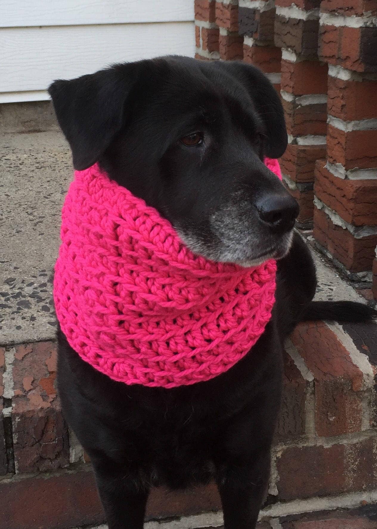 Pink Dog Snood Hot Pink Dog Snood Dog Scarf Snood for Etsy