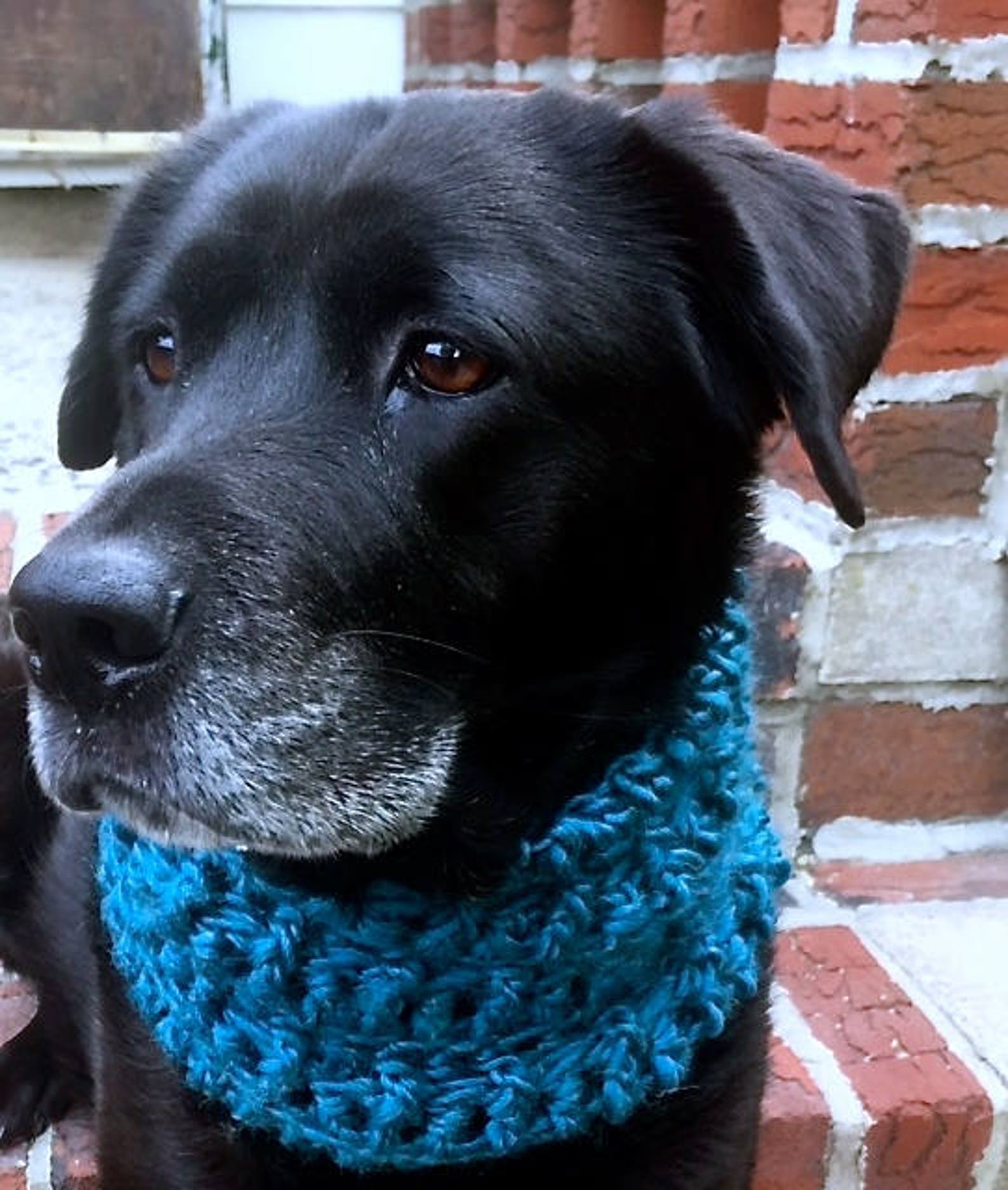 download snood 4 download snood 4