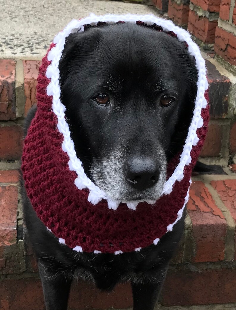 Dog Snood Pattern / Beginner Textured Dog Scarf Pattern / Dog | Etsy