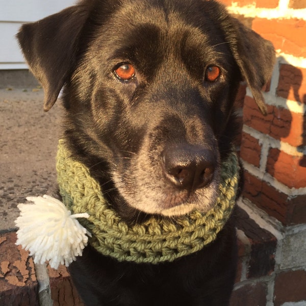 Dog Scarf- The "Emerald" Dog Scarf- Green Dog Cowl- Green Infinity Dog Scarf With Pom Pom