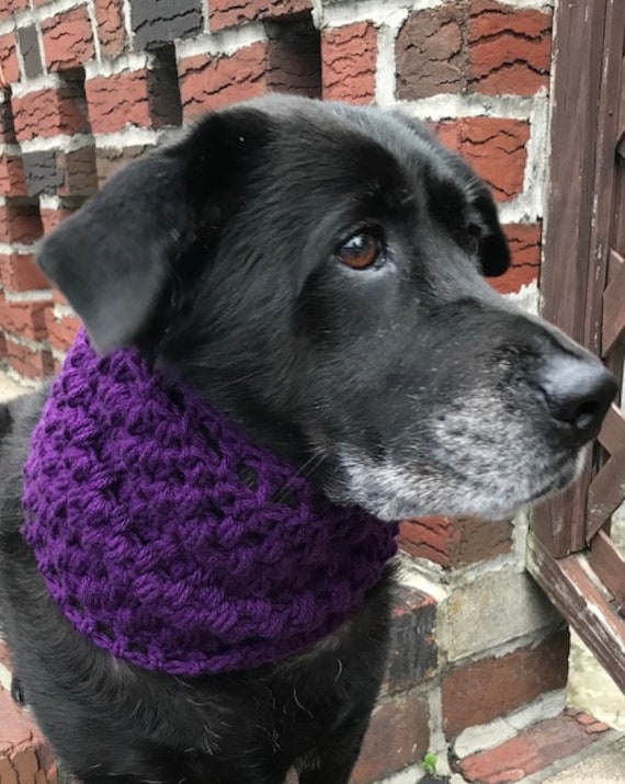 18 Dog Snood Crochet Patterns for Cozy, Cute, and Practical Pet Wear 10 Crochet Dog Snood Pattern: Puff Stitch