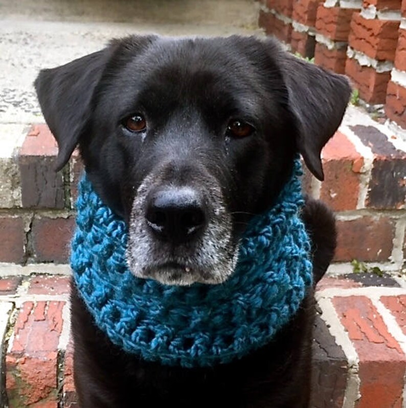 Dog Snood Pattern Dog Scarf Pattern Dog Snood Pattern Etsy