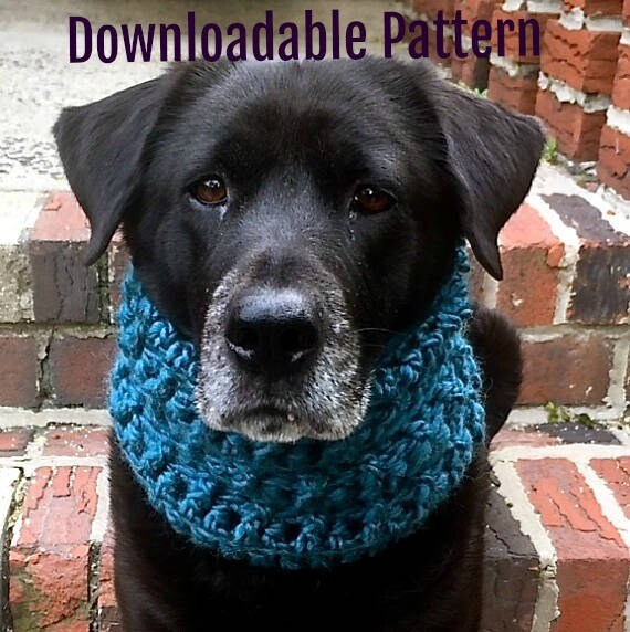 Dog shawl online