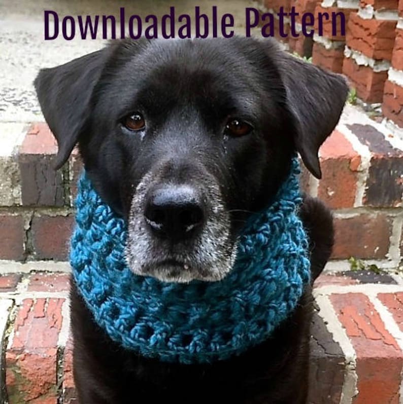 Dog Snood Pattern Dog Scarf Pattern Dog Snood Pattern Etsy