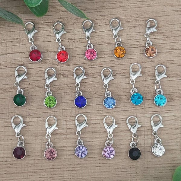 Birthstone Clip On Charm: Badge Reel, Zipper Pull & Stitch Marker