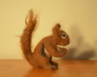 Red Squirrel