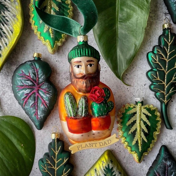 Air Plant Christmas Ornament Etsy