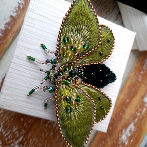 May include: A handcrafted, embroidered insect brooch. The wings are a textured green with gold beaded edges. The body is black velvet, and the insect features green and clear bead accents. The brooch is set on a white box.
