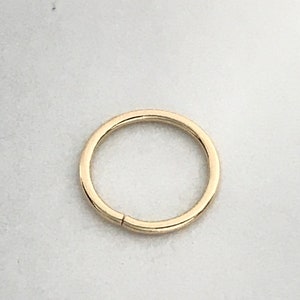 16g 18k septum conch