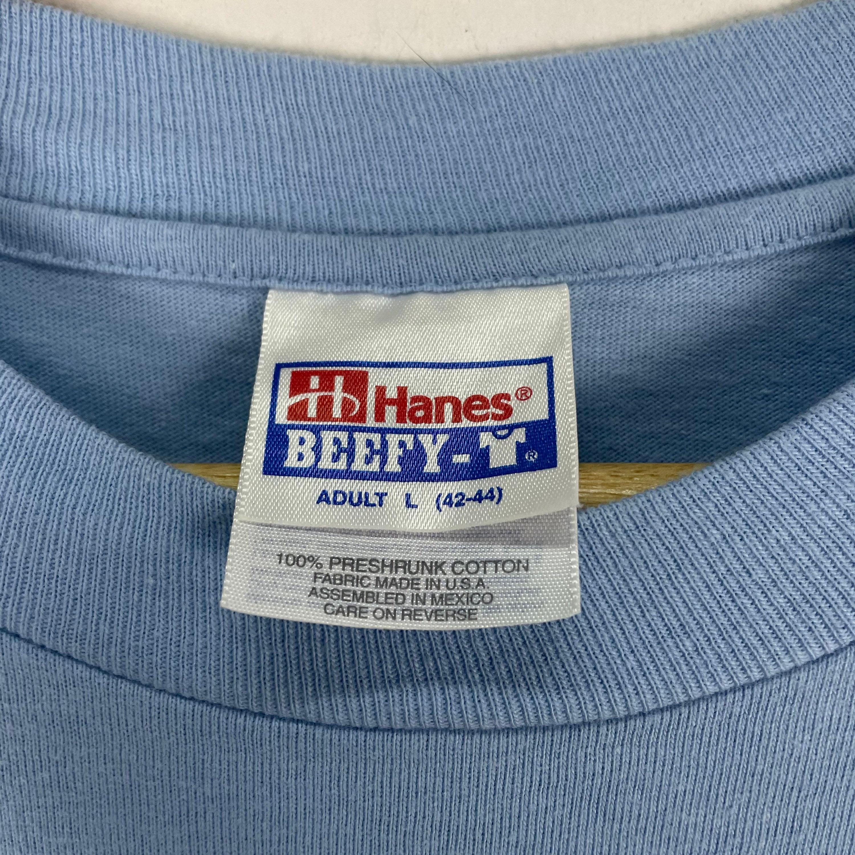 ヴィンテージ90年代 BECK アメリカンロックバンド Tシャツ - ブルー