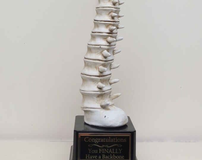 Funny Trophy Have A Backbone You Finally Have A Back Bone Trophy Gag ...