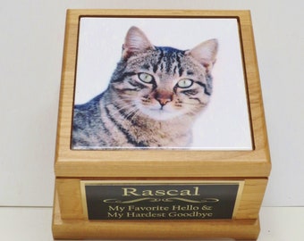Photo Cat Urn Etsy