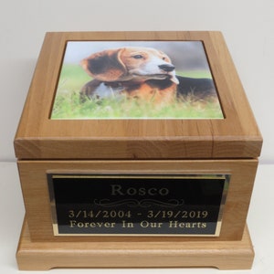 Medium dog cheap urns