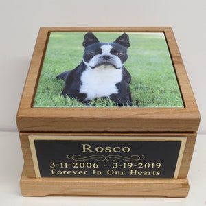 Haustier Urne Hund Urne Pet Memorial Andenken Feuerbestattung Etsy