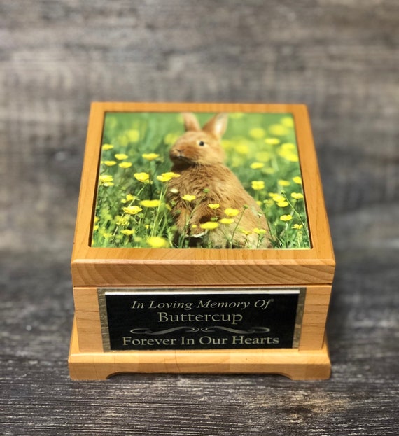 Guinea pig cremation urns hotsell