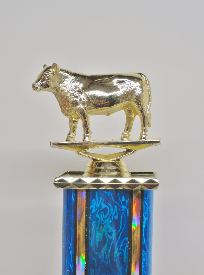 BBQ Trophy Best BBQ Cook Off Trophy Brisket Hamburger Beef Rib Hand Painted Cow Trophy Award Champion 4th of July Independence Day Memorial