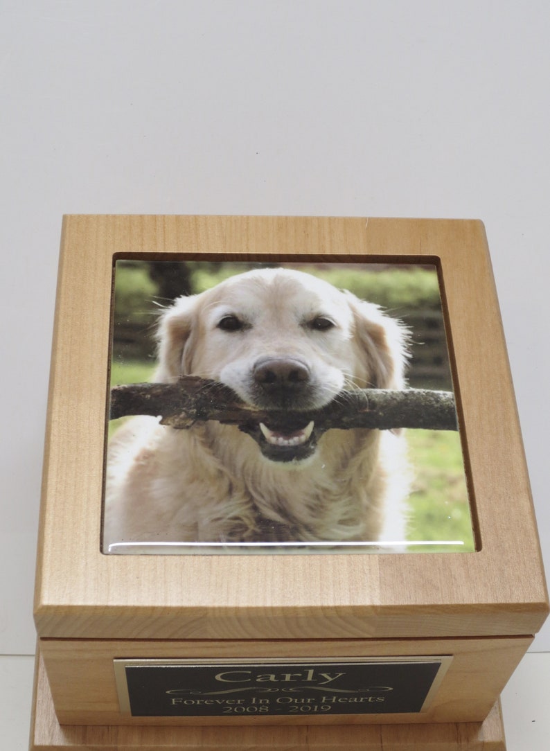 Hund Urne Pet Urne Pet Memorial Andenken Feuerbestattung Urne Etsy