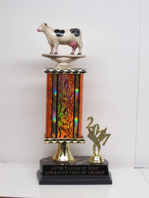 BBQ Trophy Grill Master Award Best BBQ Cook off Trophies Best Brisket ...