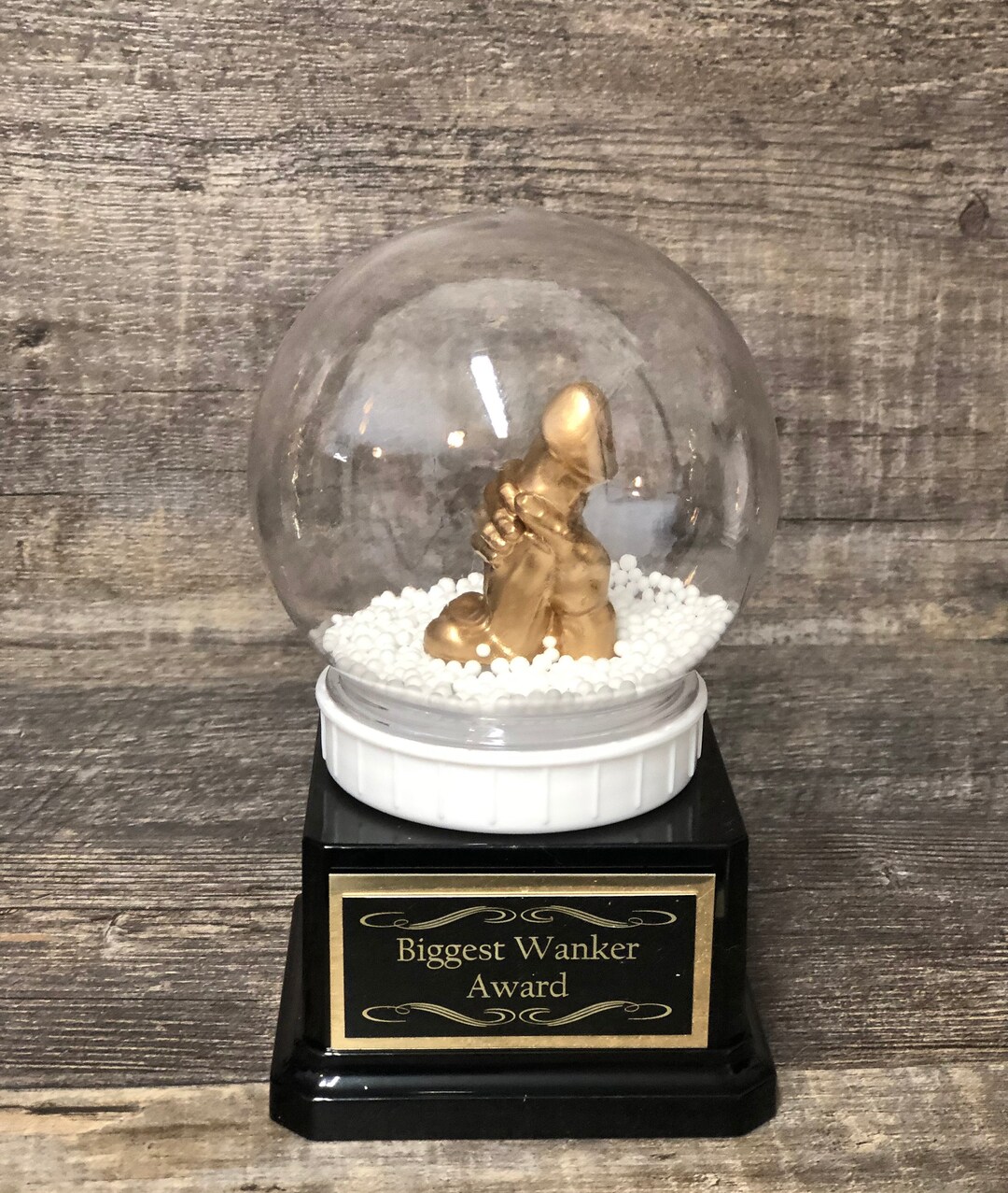 Fantasy Football Trophy WANKER Snow Globe Funny Trophy Etsy